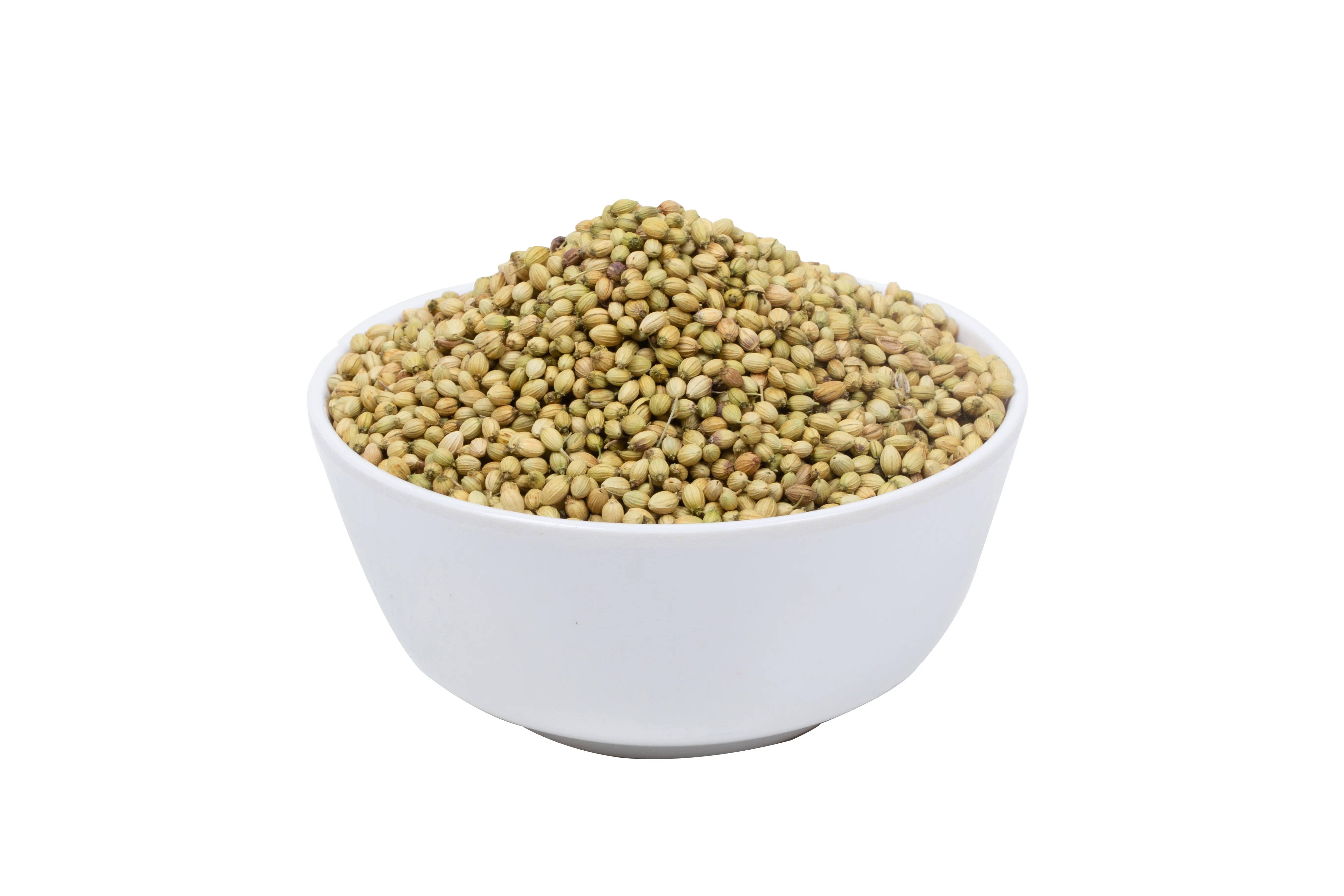 CORIANDER SEEDS DOUBLE PARROT