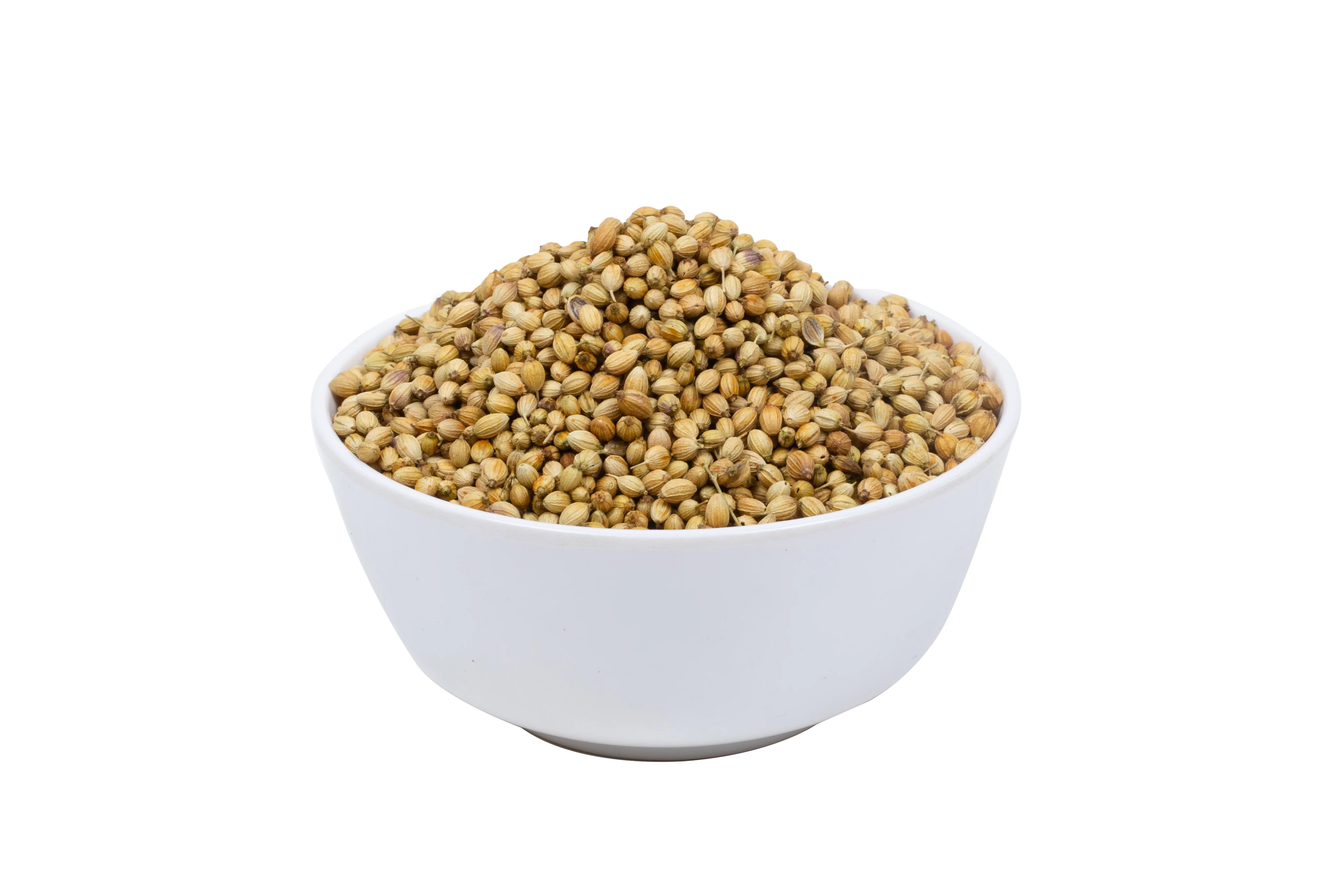 CORIANDER SEEDS SINGLE PARROT