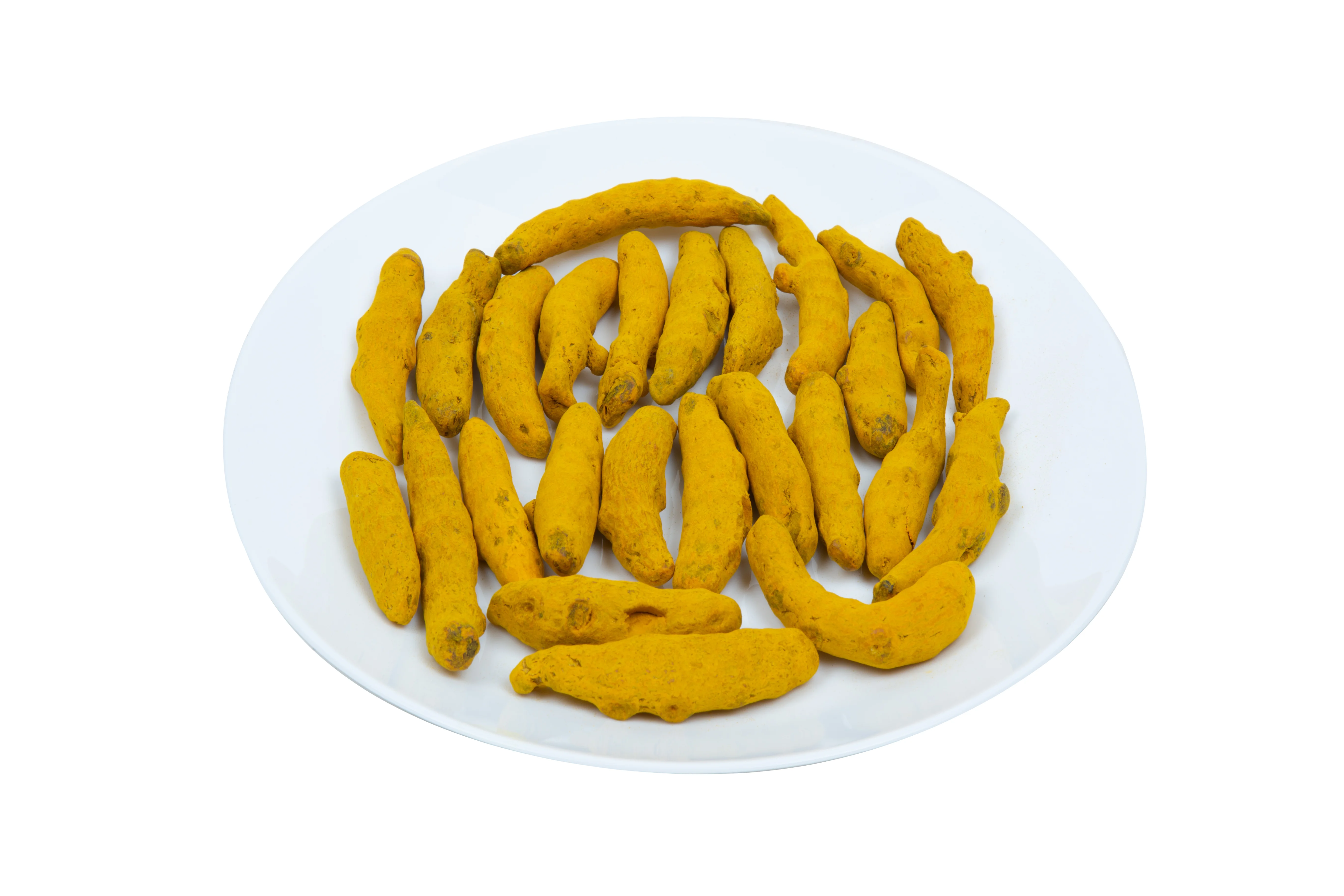 TURMERIC FINGER HP BOLD
